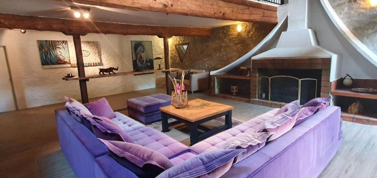 Gite De 420 Metres Carres Dans Chateau L'Ange Au Violon Jusqu'A 13 Couchages Conques-sur-Orbiel 外观 照片