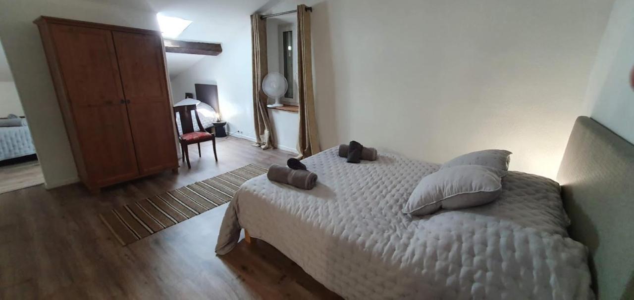 Gite De 420 Metres Carres Dans Chateau L'Ange Au Violon Jusqu'A 13 Couchages Conques-sur-Orbiel 外观 照片