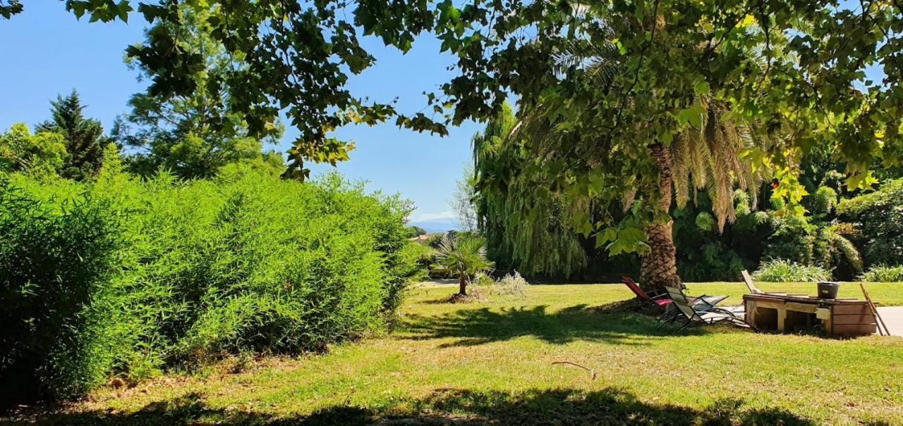 Gite De 420 Metres Carres Dans Chateau L'Ange Au Violon Jusqu'A 13 Couchages Conques-sur-Orbiel 外观 照片